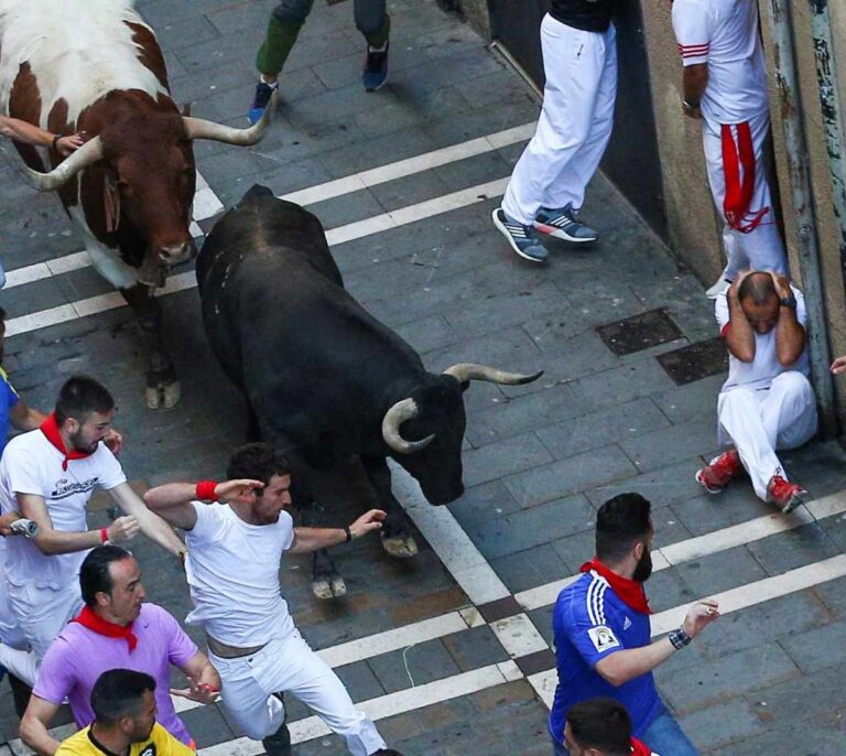 Emocionante y vistoso encierro con toros de Núñez del Cuvillo