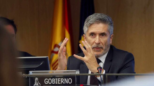 El ministro del Interior, Fernando Grande-Marlaska, en la comisión de Interior del Congreso de los Diputados.