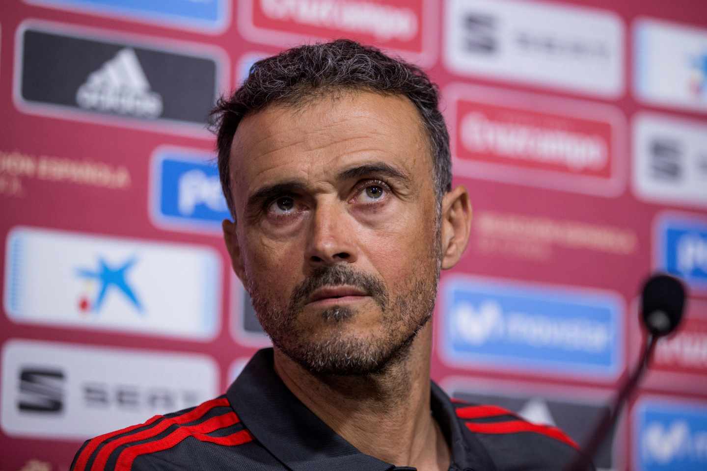 Luis Enrique, seleccionador nacional.