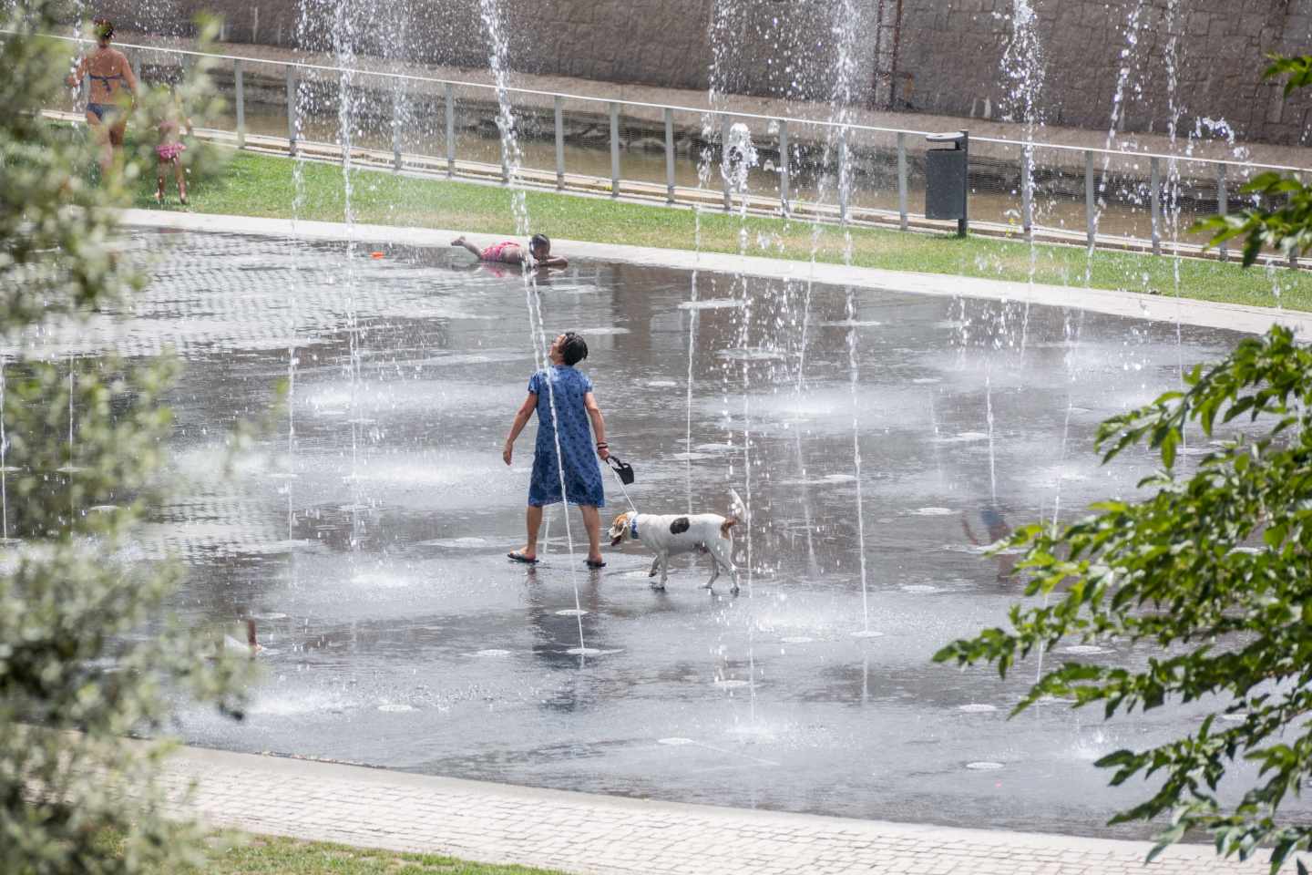 Ola de calor de la primeras semana de agosto 2018