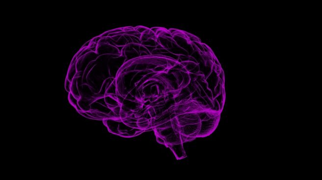 cerebro-genes-autismo