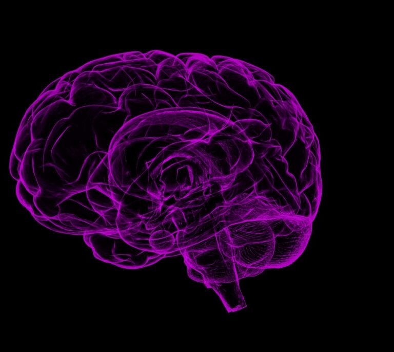 Descubren que un defecto en una proteína podría estar detrás del autismo