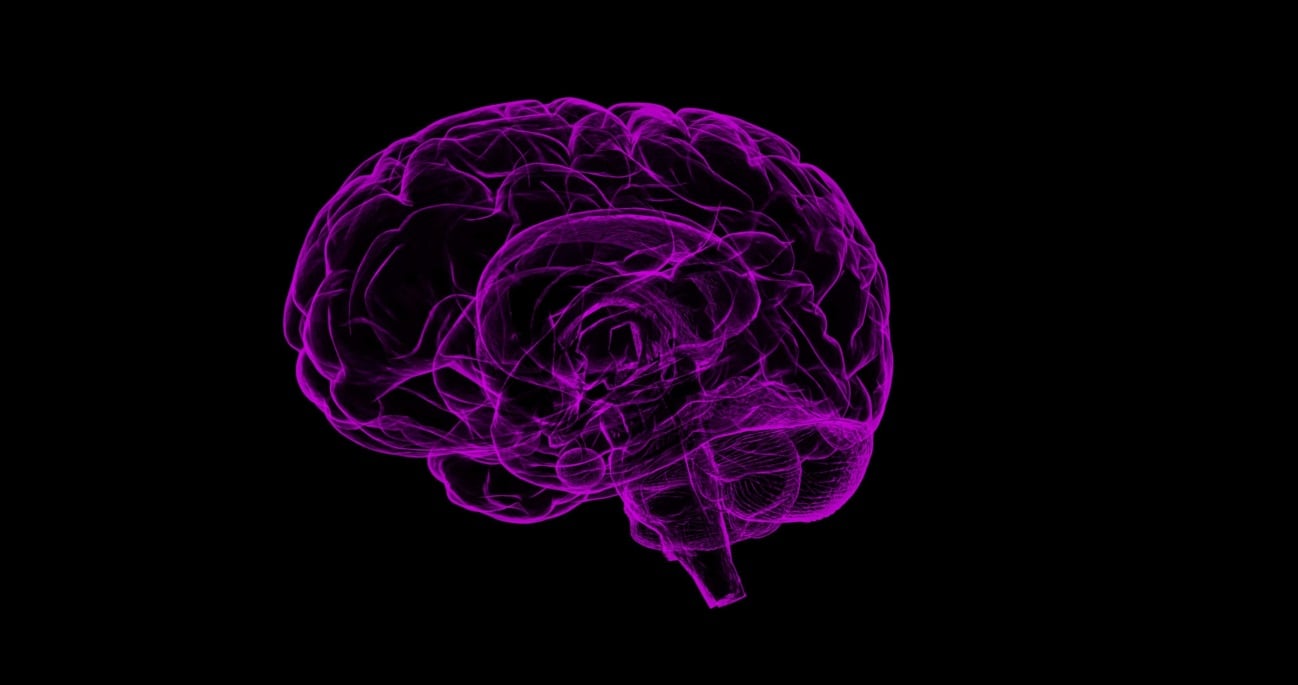 Investigadores españoles descubren un indicador del envejecimiento real del cerebro