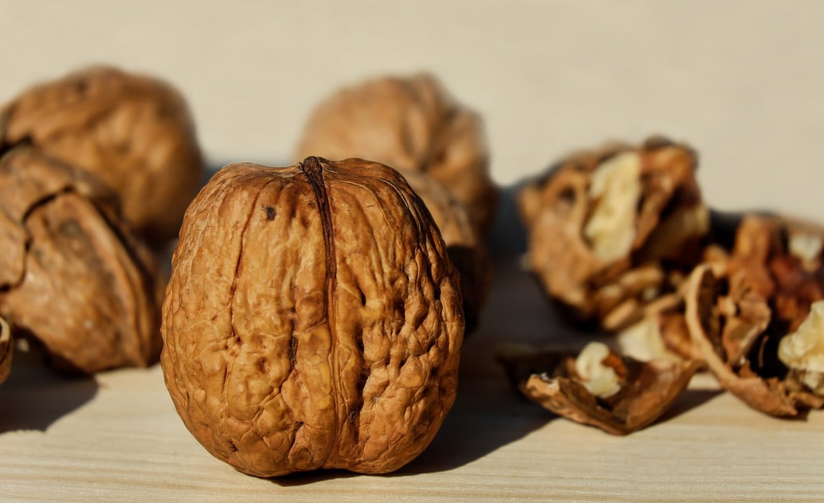 Comer nueces reduce el colesterol y los triglicéridos.