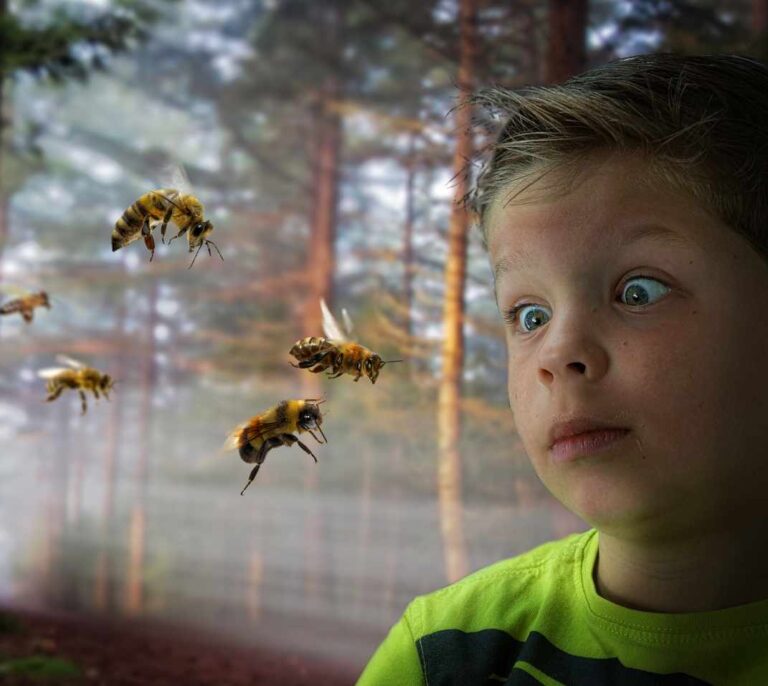 Cómo prevenir las picaduras de los mosquitos y otros (inesperados) insectos