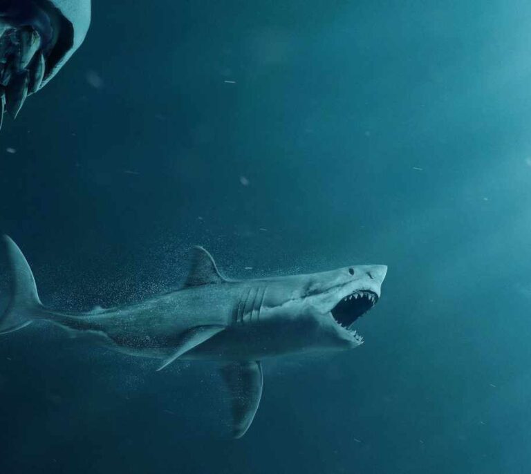 Estrenos de la semana: Statham cambia los coches y las peleas por arpones