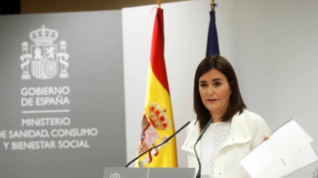 Carmen Montón plagió fragmentos de su trabajo fin de máster