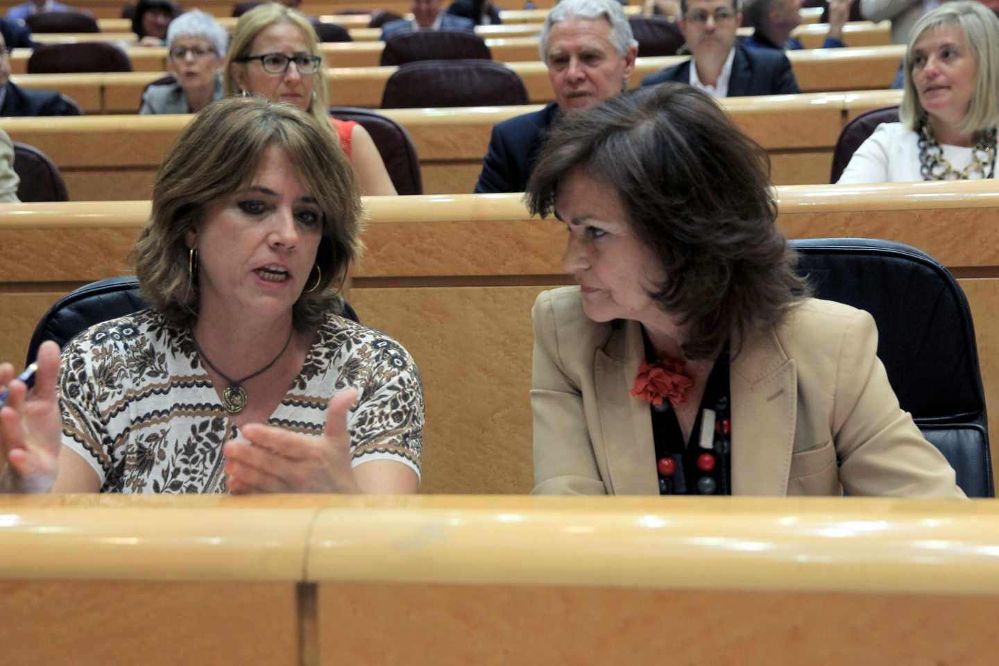 Delgado y Calvo, en el Senado.