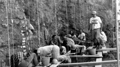 Atapuerca, 40 años haciendo prehistoria