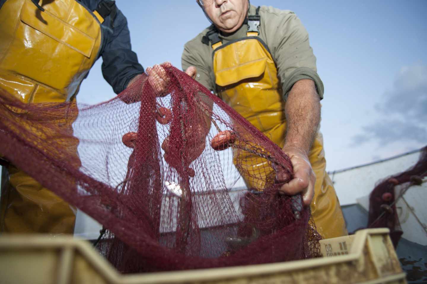 El Mediterráneo, en riesgo de colapso