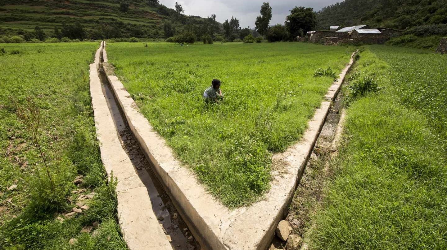 Proyecto de irrigación en Etiopía para ayudar a pequeños productores a adaptarse al cambio climático durante las estaciones secas. FAO/IFAD/WFP/Petterik Wiggers