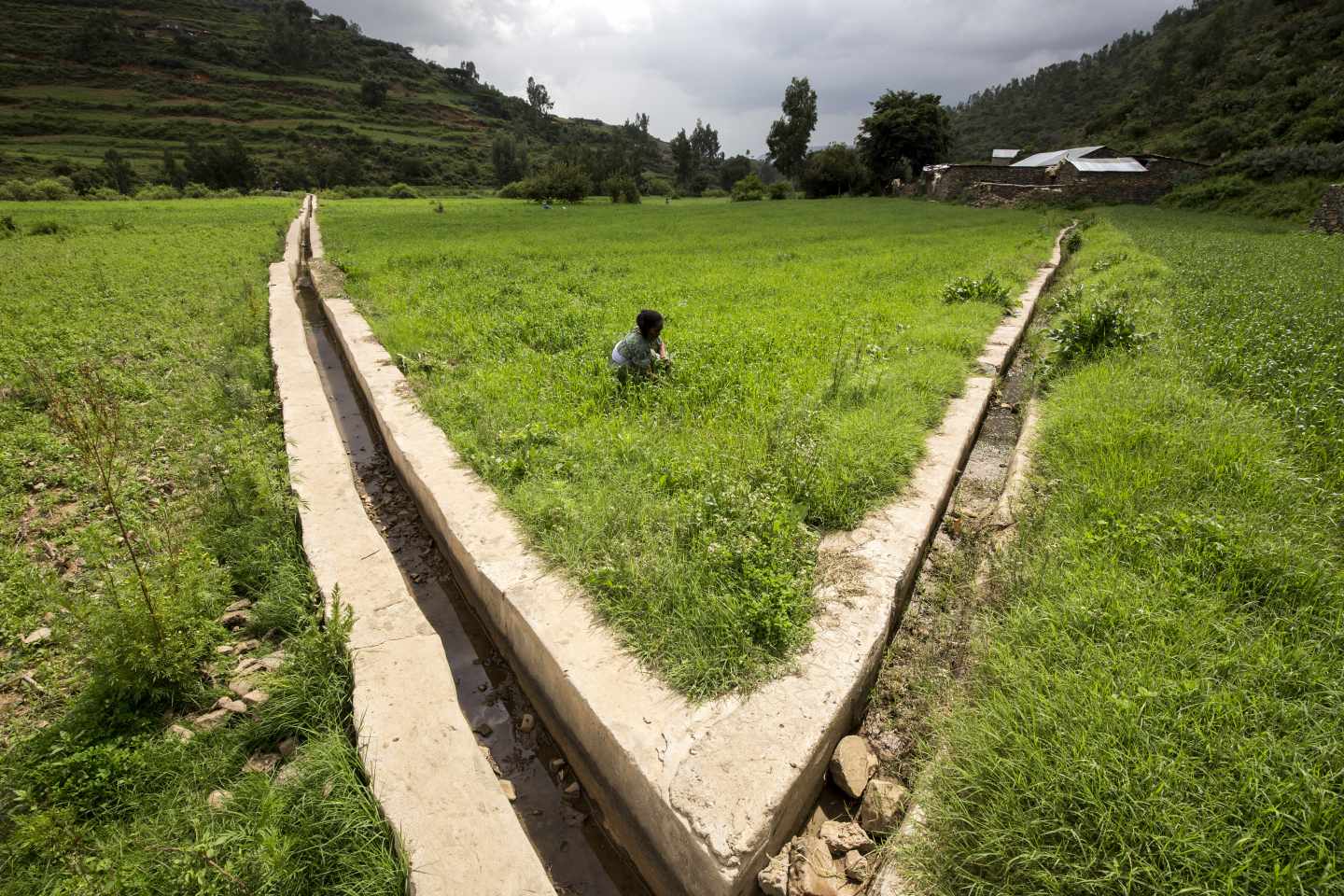 Proyecto de irrigación en Etiopía para ayudar a pequeños productores a adaptarse al cambio climático durante las estaciones secas. FAO/IFAD/WFP/Petterik Wiggers