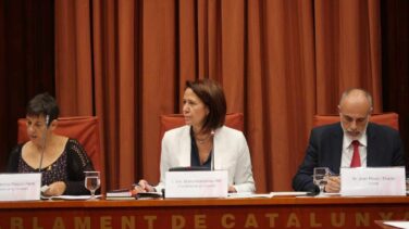 C's anuncia una querella contra Torrent por llevar al Pleno la suspensión dictada por el TS
