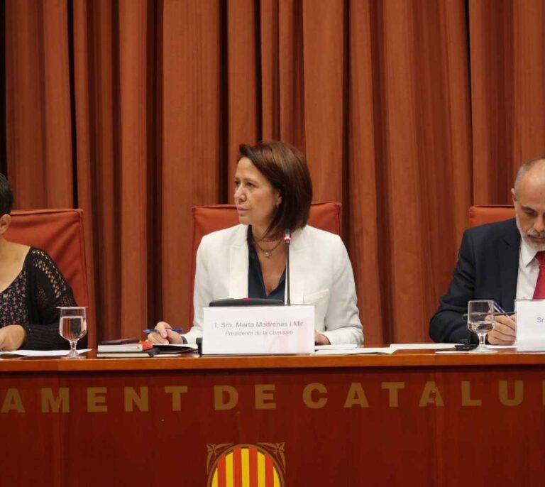 C's anuncia una querella contra Torrent por llevar al Pleno la suspensión dictada por el TS