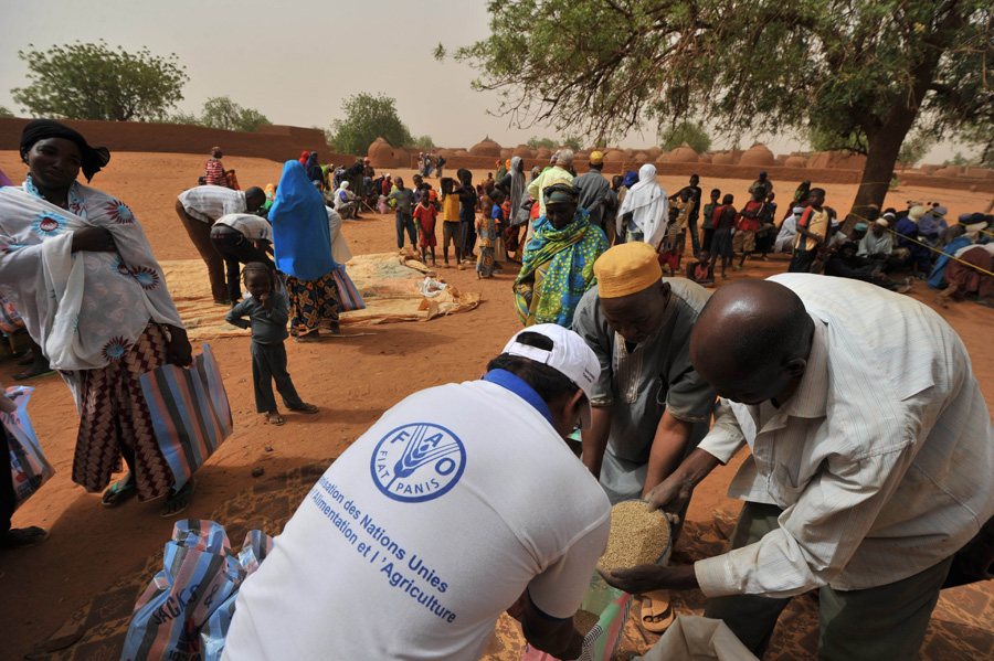 Mujeres nigerianas recibiendo semillas de mijo y judías verdes distribuidas por la FAO. ©FAO/Pius Ekpei