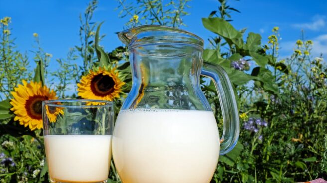 Tomar tres vasos de leche al día, sobre todo si es entera, protege el corazón y la vida.