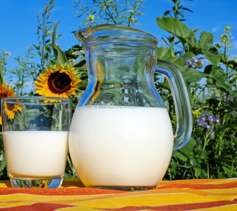 Tomar tres vasos de leche al día, sobre todo si es entera, protege el corazón y alarga la vida