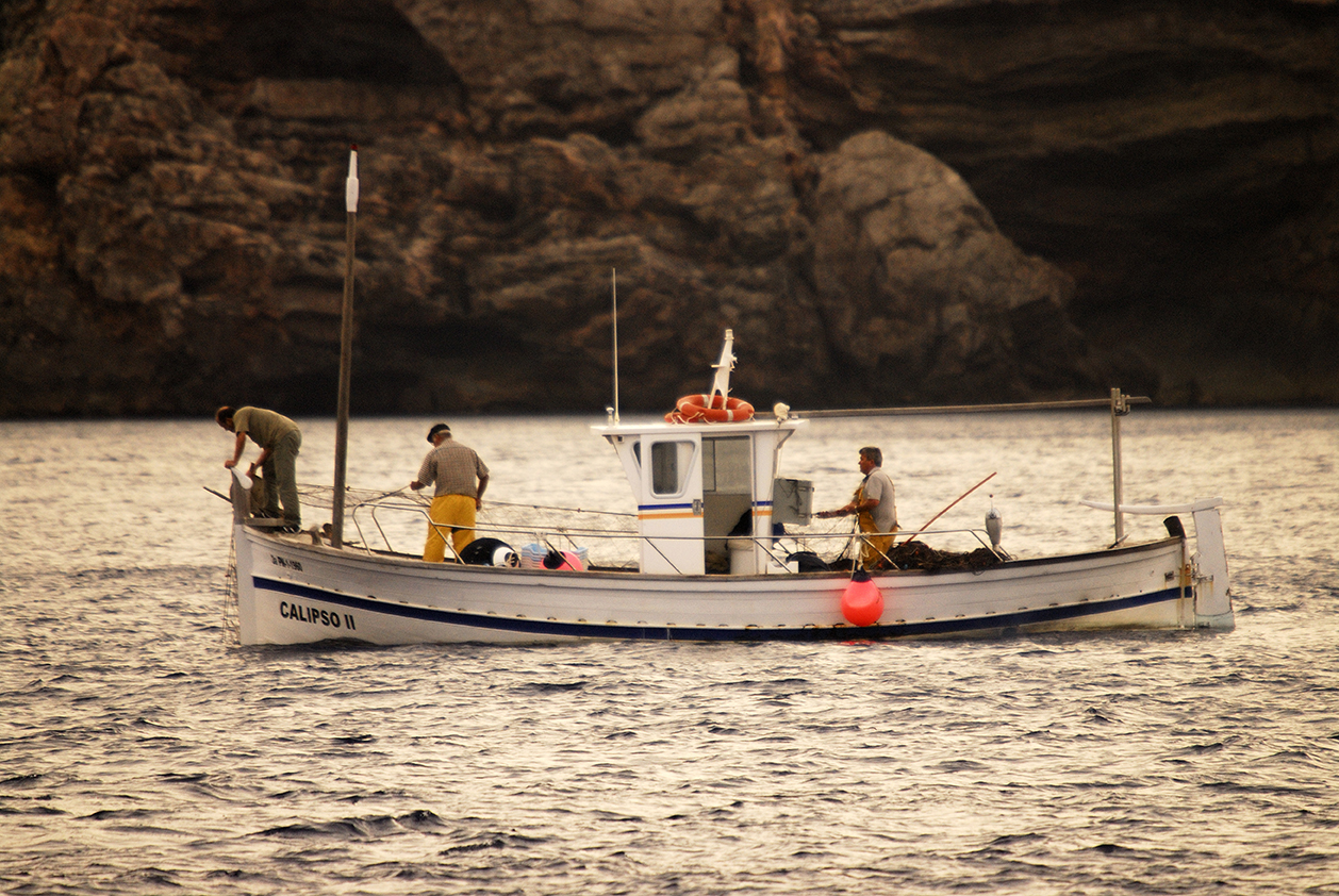 La pesca sostenible aumenta los beneficios y crea empleos directos