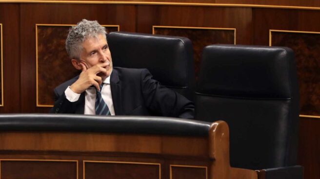 Fernando Grande-Marlaska, ministro del Interior. Fernando Grande-Marlaska, ministro del Interior.