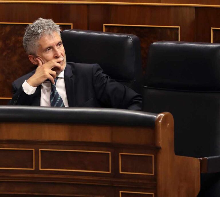 Marlaska cesa al jefe antiterrorista de Policía y al jefe de Navarra por insultos a políticos