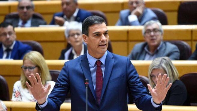 El presidente del Gobierno, Pedro Sánchez, durante su intervención en la sesión de control del pleno del Senado.