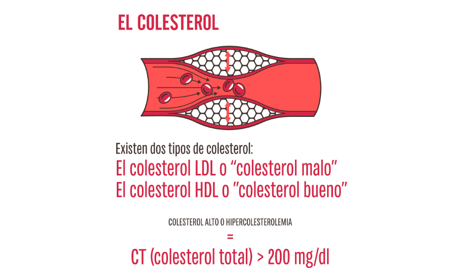 Tipos de colesterol