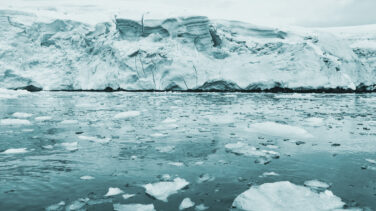 Es el momento de proteger el Océano Antártico