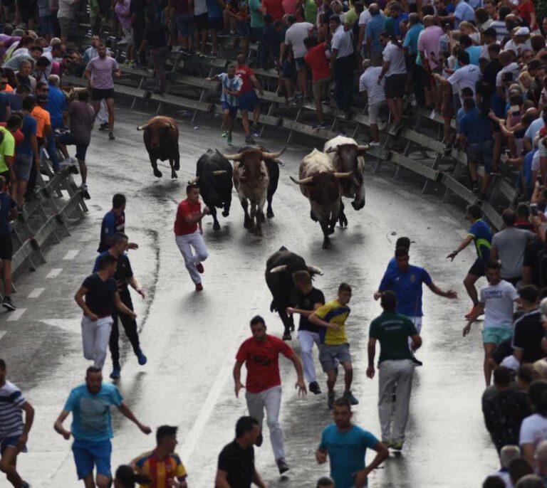 Mayoría animalista silenciosa