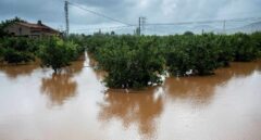 Cambio climático y fenómenos meteorológicos extremos en España