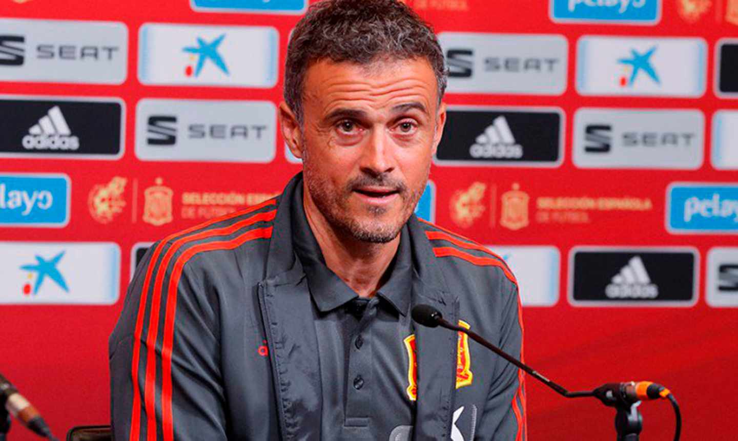 Luis Enrique ataca a los políticos: "Sólo piensan en sus intereses"