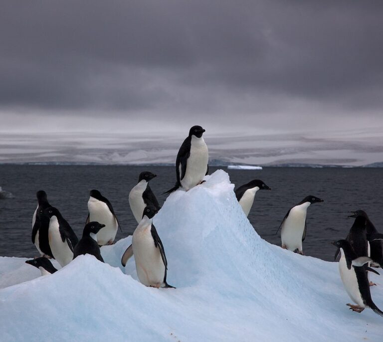 Lo qué significa el cambio climático para la Antártida