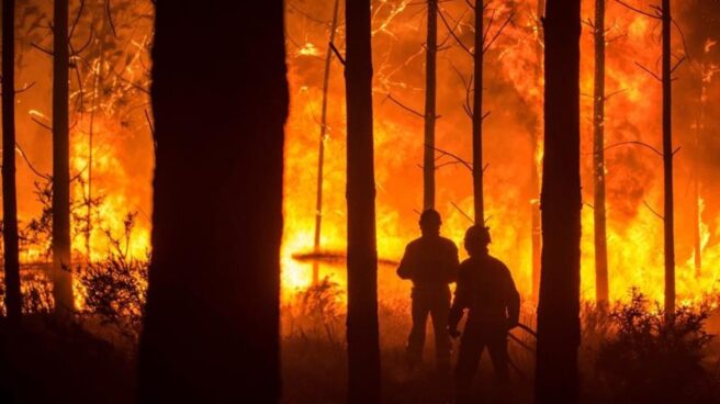 Un hombre lucha contra las llamas en un incendio forestal declarado en Vieira de Leiria en Marinha Grande (Portugal).