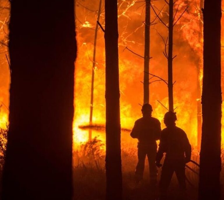 La ONU pide invertir más en prevención que en extinción ante el aumento de incendios extremos