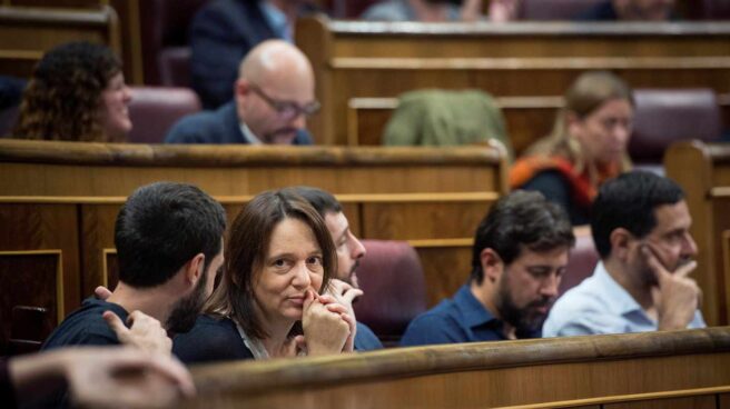 Carolina Bescansa. Carolina Bescansa.