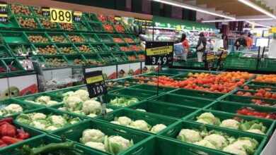 Los agricultores avisan de que el precio de la verdura ya baja en origen: "Veremos si lo hace en el súper"