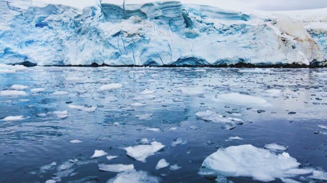 cropped-Efectos-del-cambio-climático-en-la-Antártida.jpg