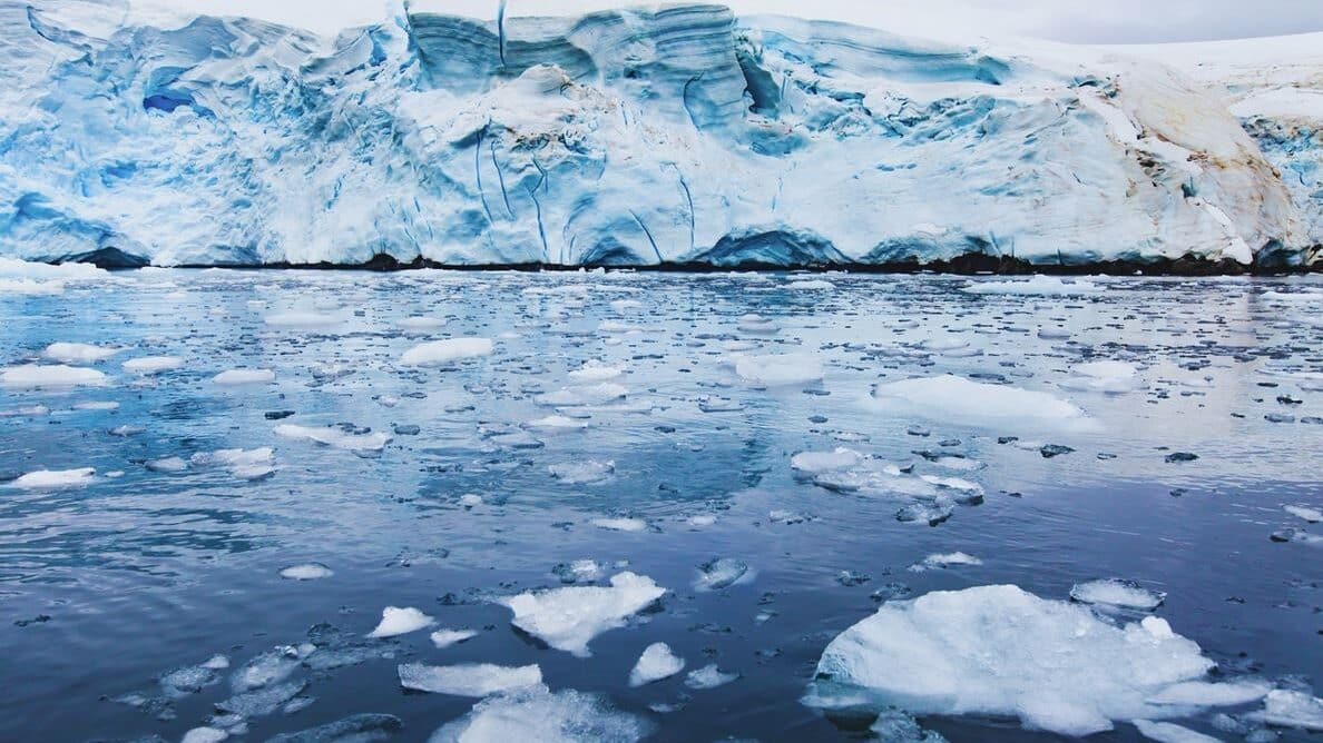 Partidos, sociedad civil y ciudadanos se suman a las movilizaciones por el clima