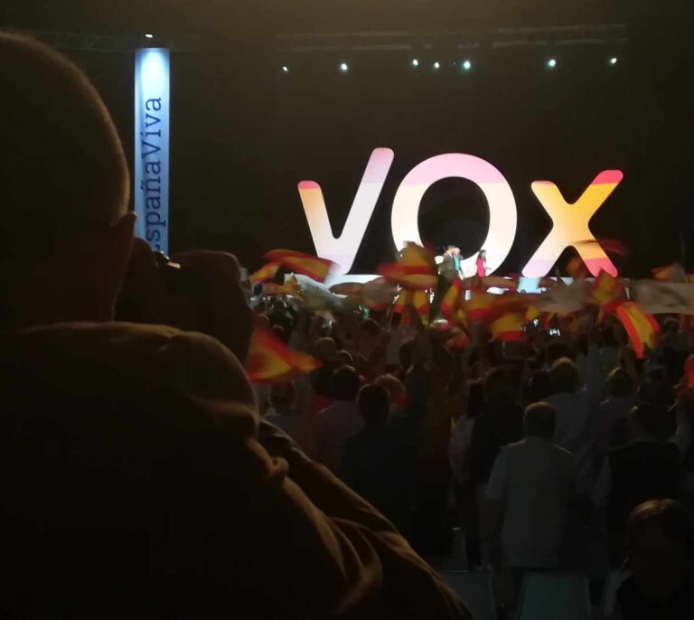 Vox planea eliminar impuestos para familias numerosas