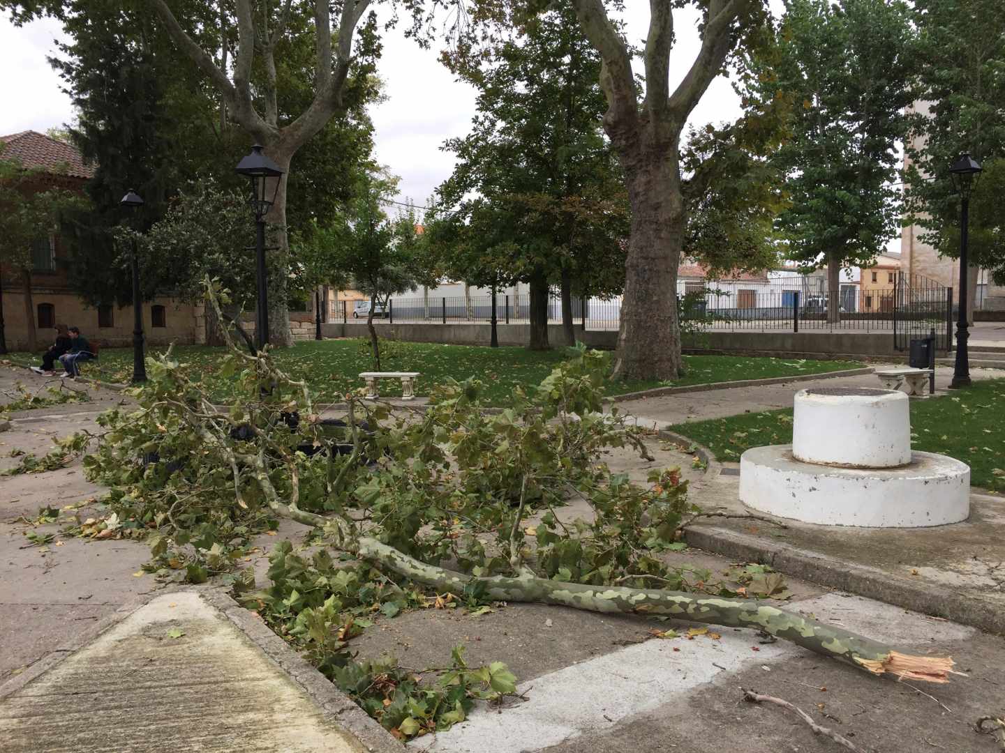 Un parque afectado por el paso de Leslie en Fuentesaúco (Zamora).