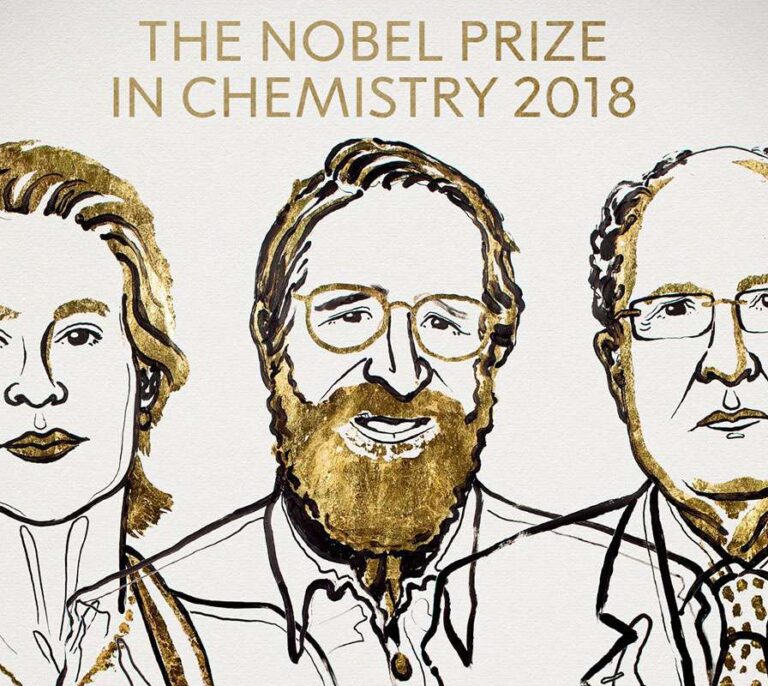 Nobel para los imitadores de la evolución de las especies a nivel microscópico