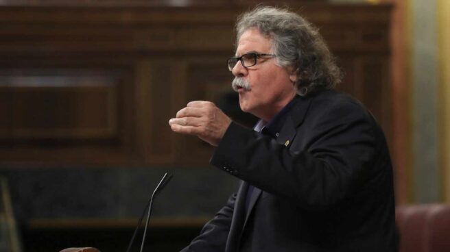 El portavoz de ERC en el Congreso, Joan Tardà, durante su intervención en el pleno del Congreso de los Diputados.