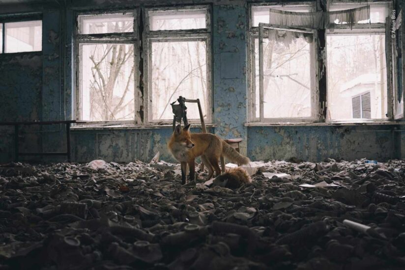 Visita a la escuela (Chernobyl)