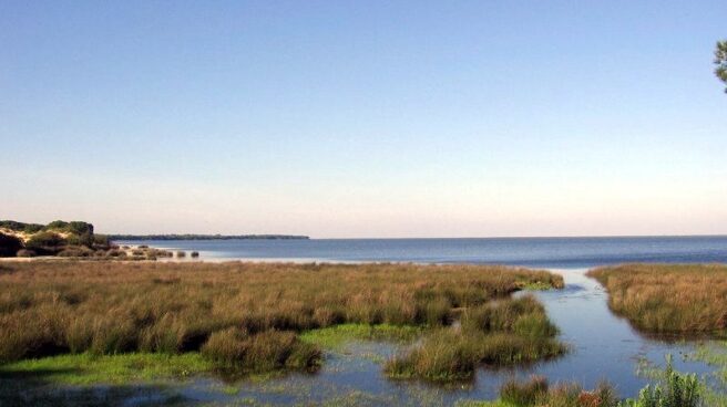 Parque natural de Doñana.