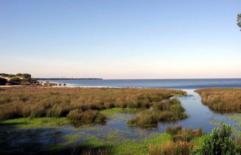 Parque natural de Doñana.