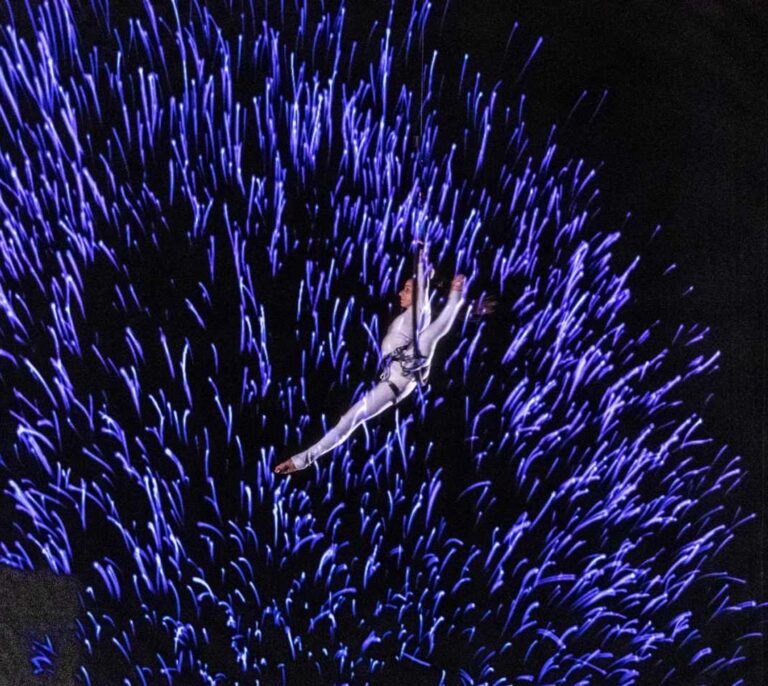 Clece entrega los IV Premios Compromiso