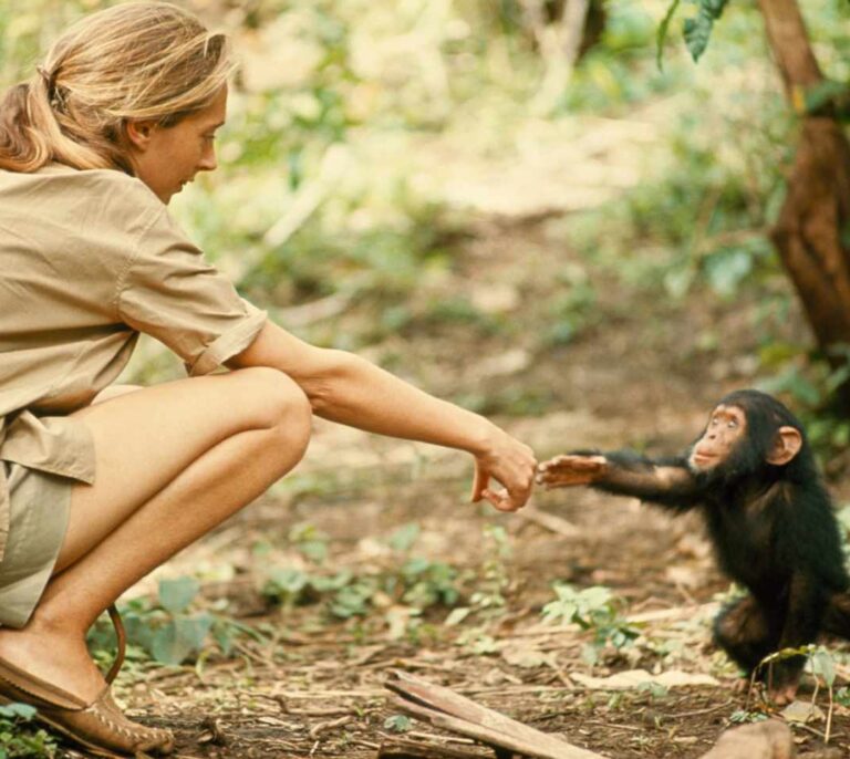 El legado de National Geographic