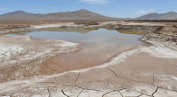 La lluvia mata al desierto de Atacama