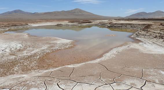 Lagos formados en el corazón hiperárido del desierto de Atacama