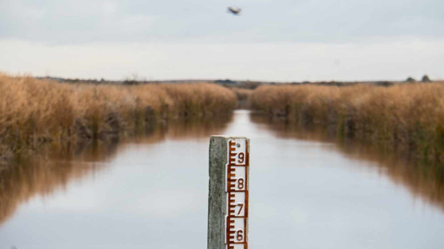 Nivel de agua en Las Tablas de Daimiel