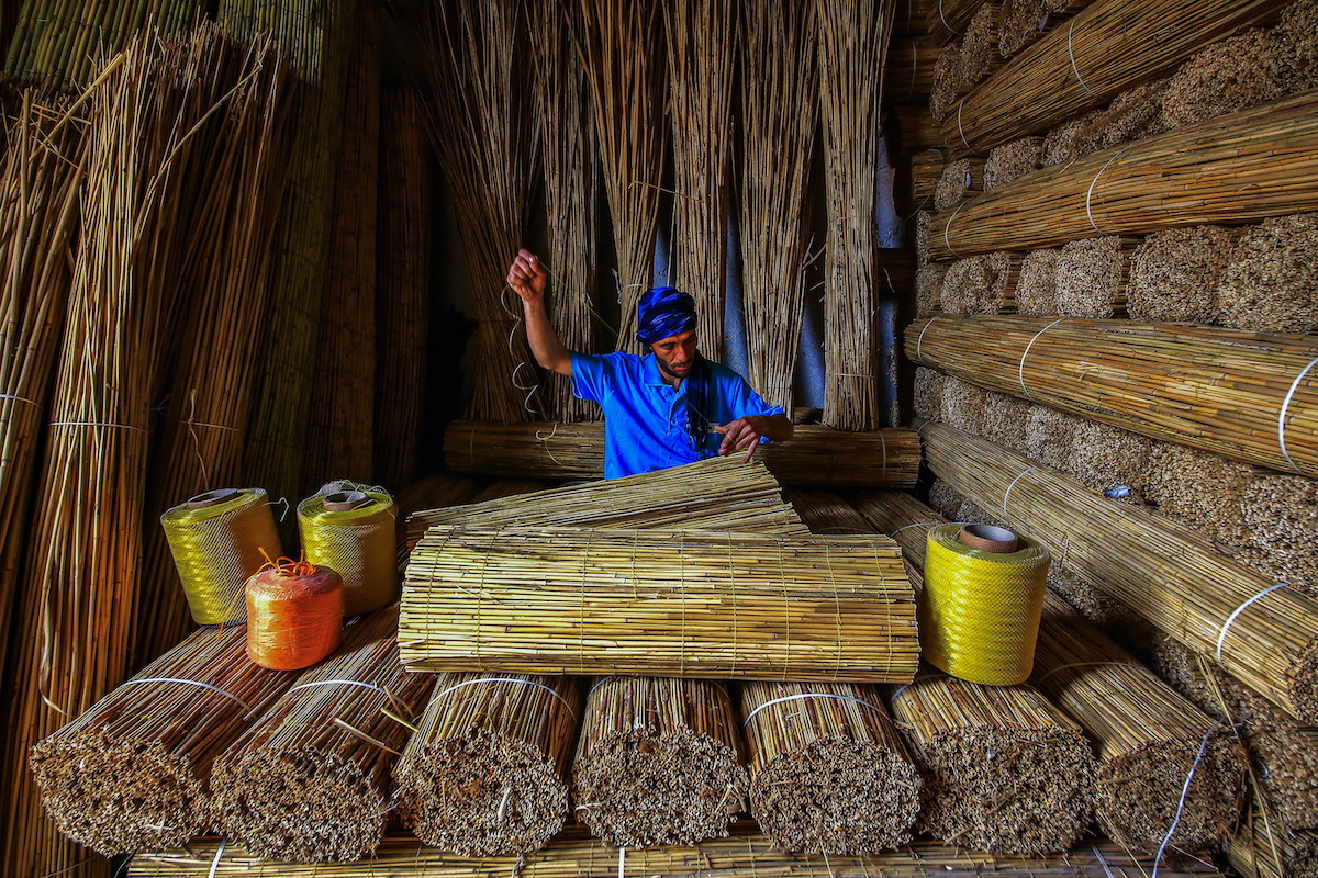 "Bulrush" por Ümmü Kandilcioğlu